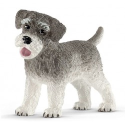 Schnauzer miniatura