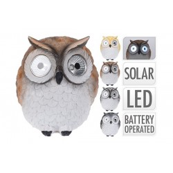 Buho Solar 14X15 Cm. 4Ass 795
