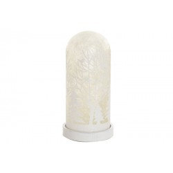 Decoracion Luminosa Led...