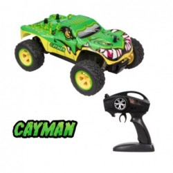 Coche Cayman radio control...