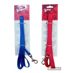 Correa Mascota Colores...