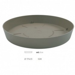 Plato Maceta Color 17/22...