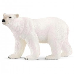 Oso Polar