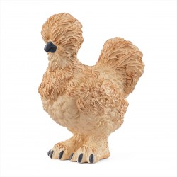 Gallina Silkie