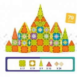 Bloques Magneticos 79 Pzas.