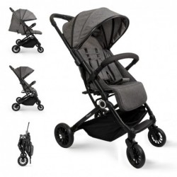 Silla paseo modelo Voyage gris