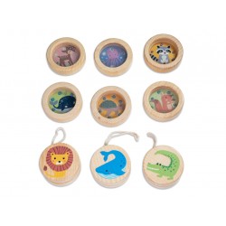 Yo-Yo + Laberinto Fsc